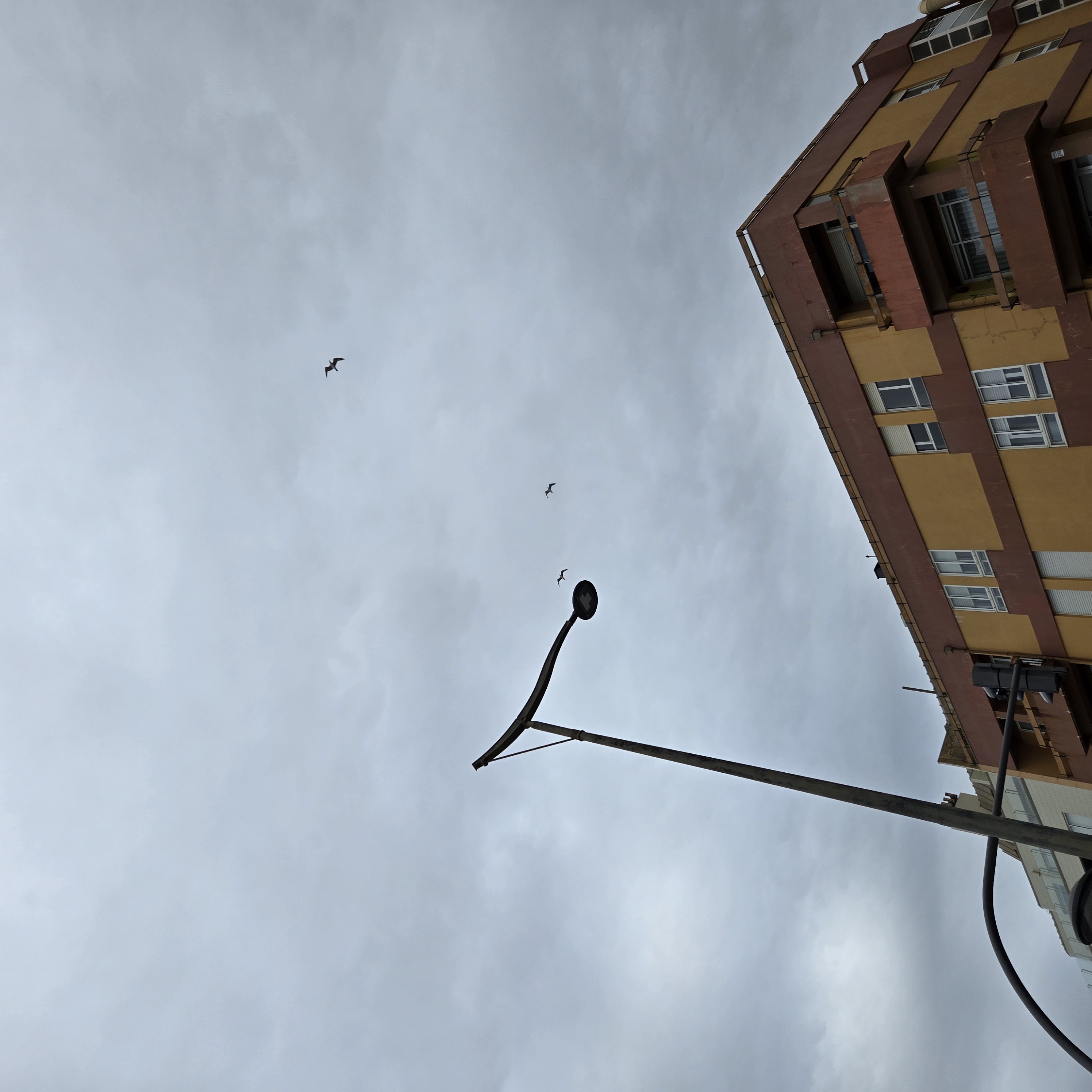20260407_151521