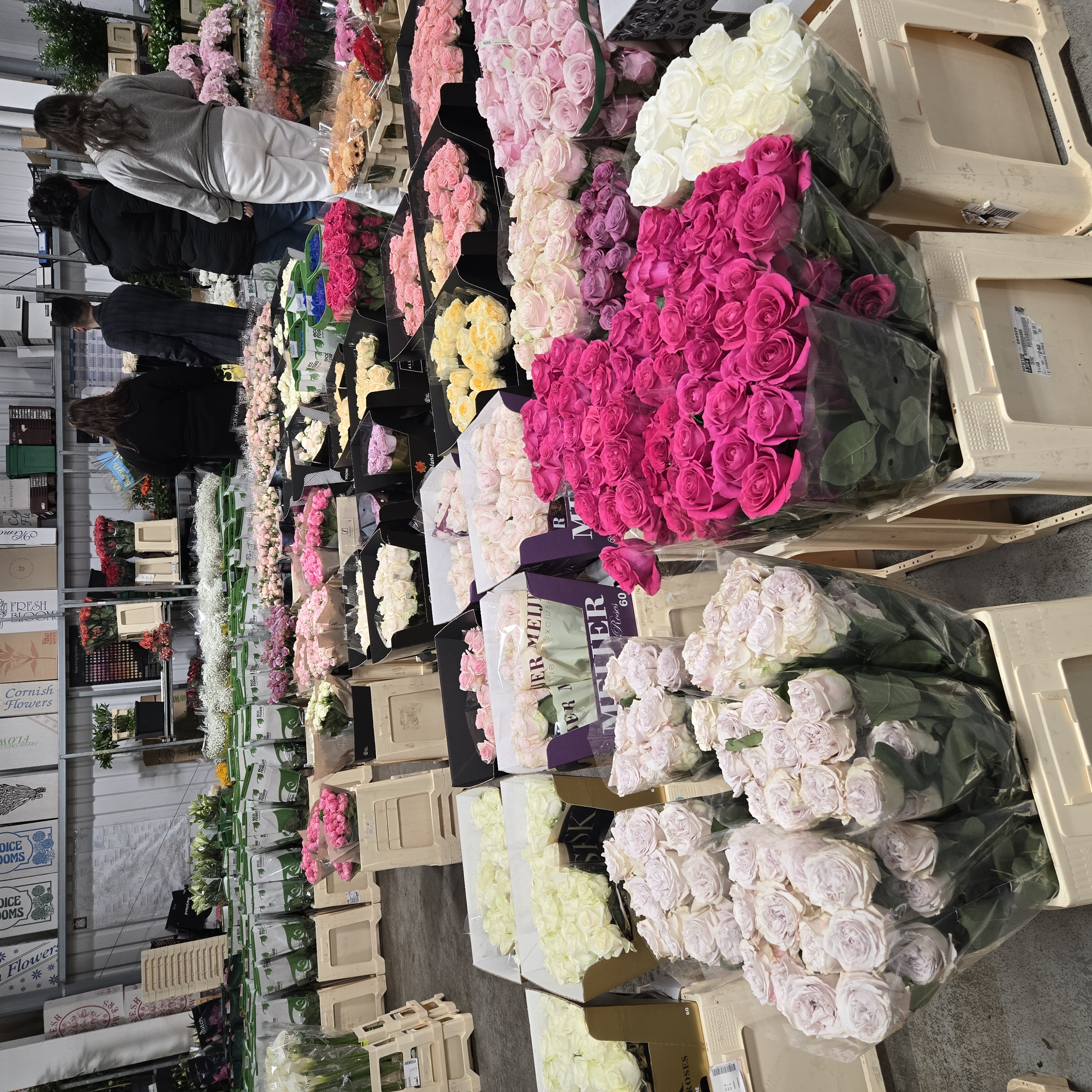 20260425_060646