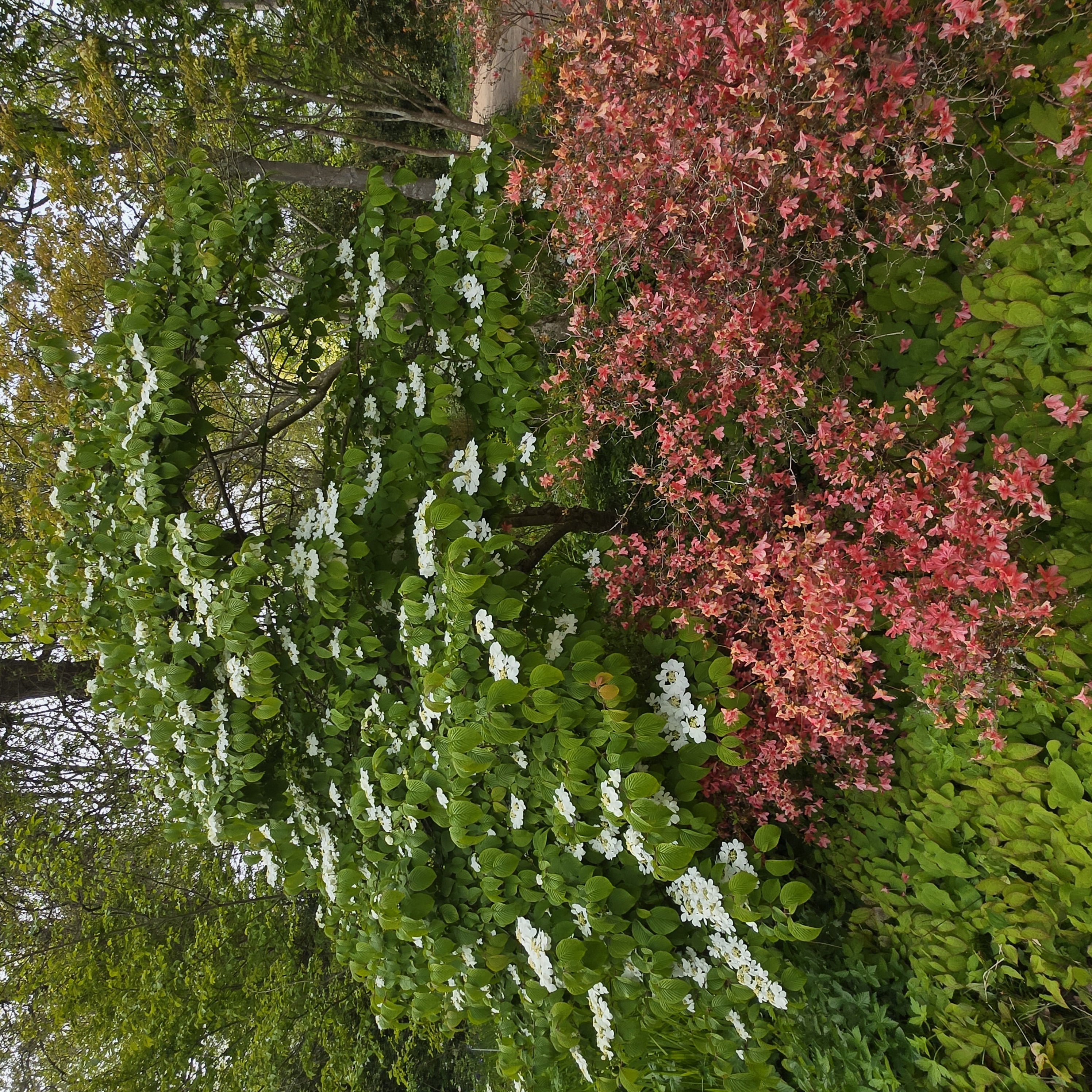 20260426_143503