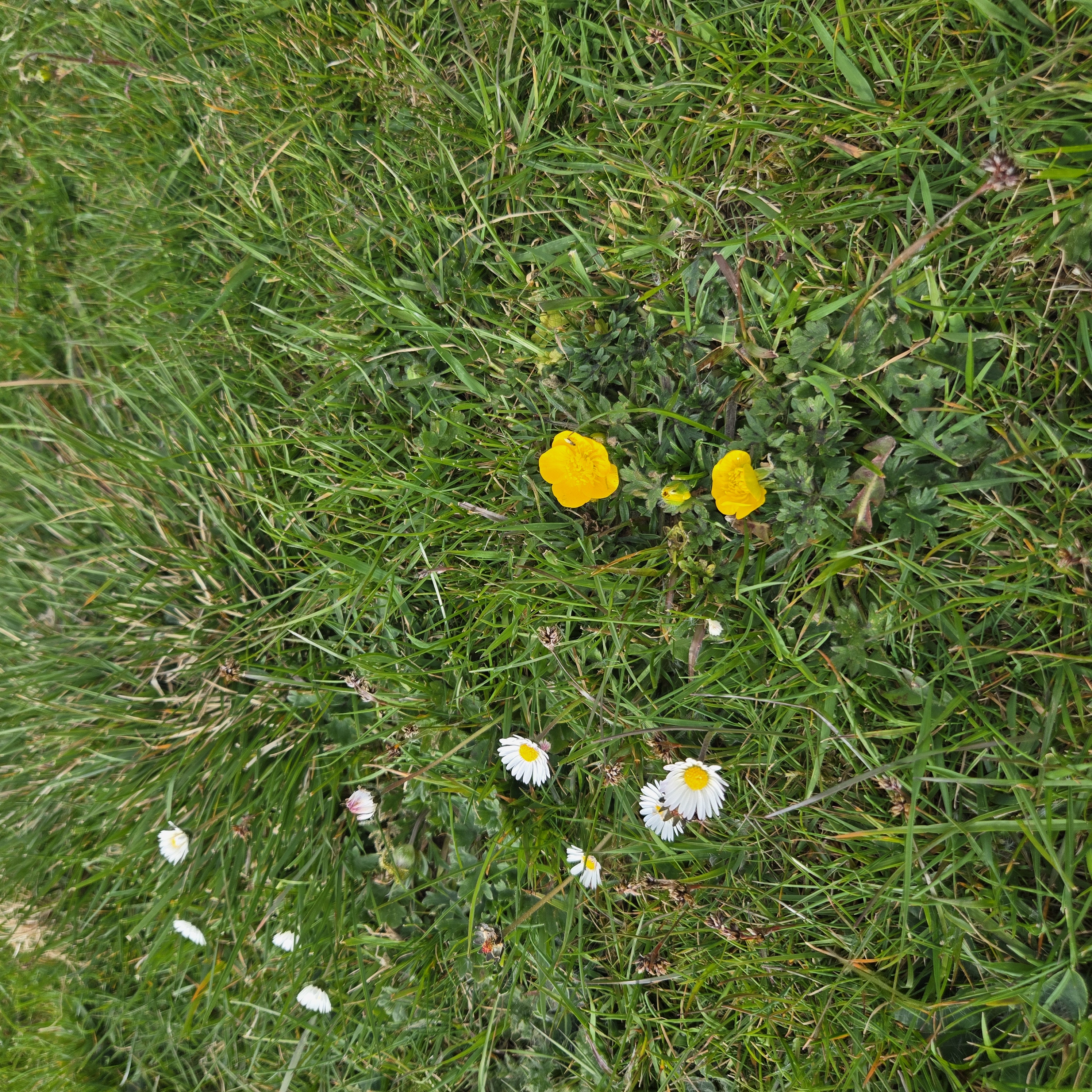 20260503_165019.jpg