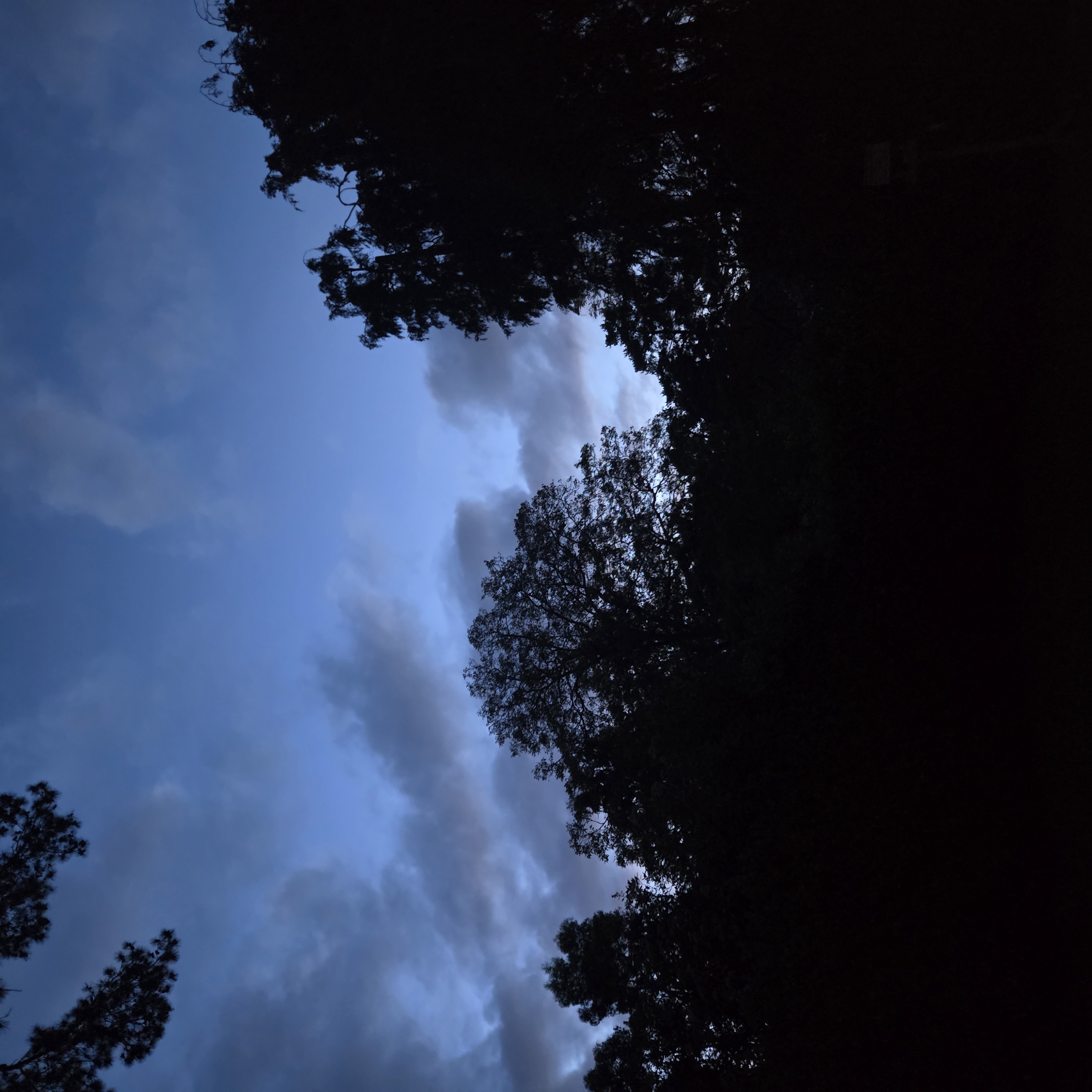 20260510_212116[1].jpg