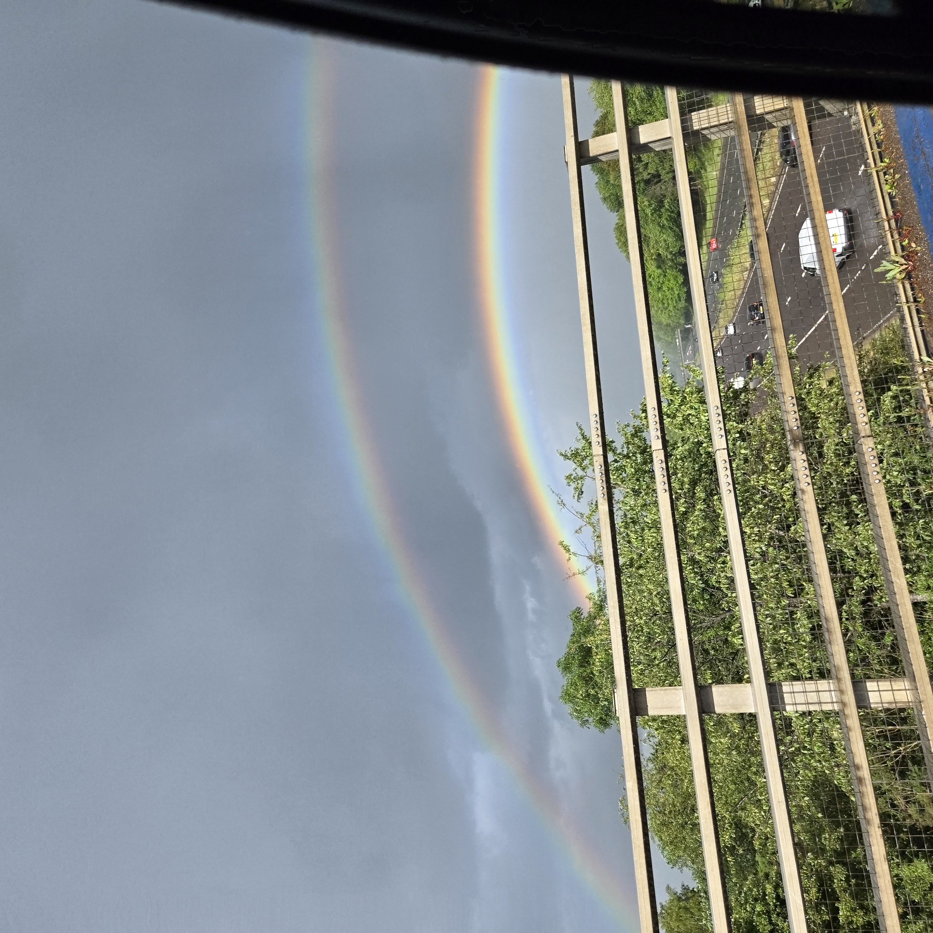 20260610_174900.jpg