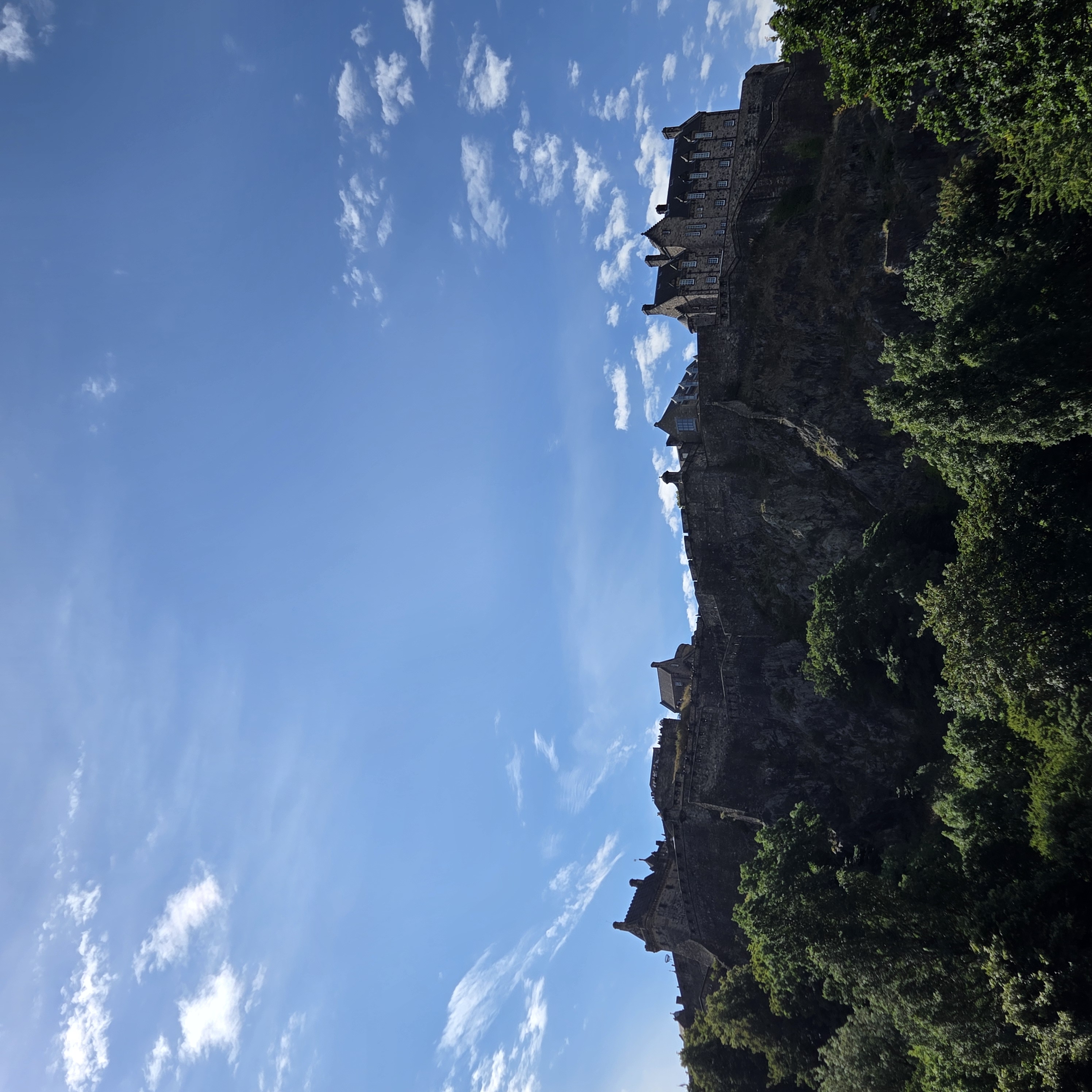 20260811_113902.jpg