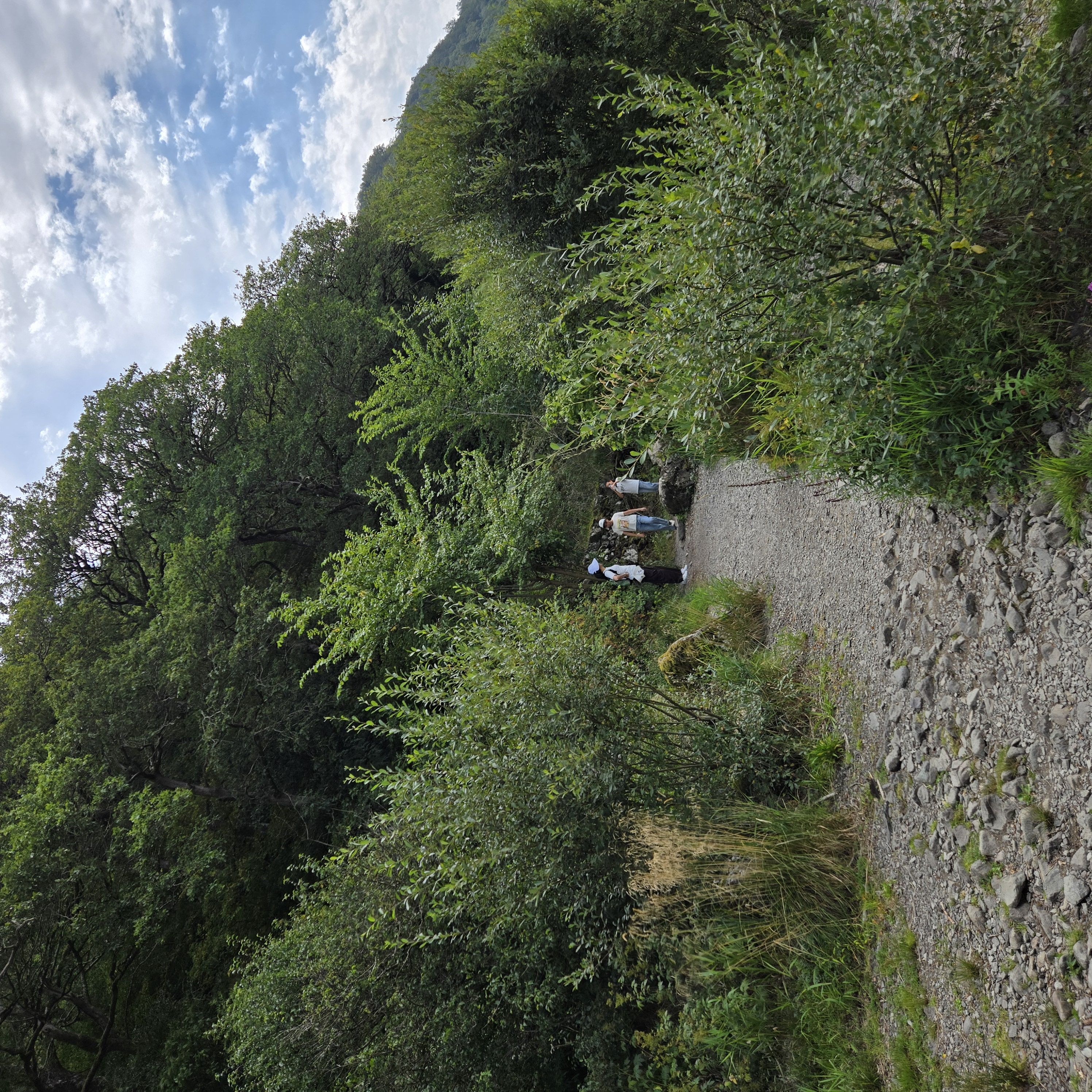 20260813_125353.jpg