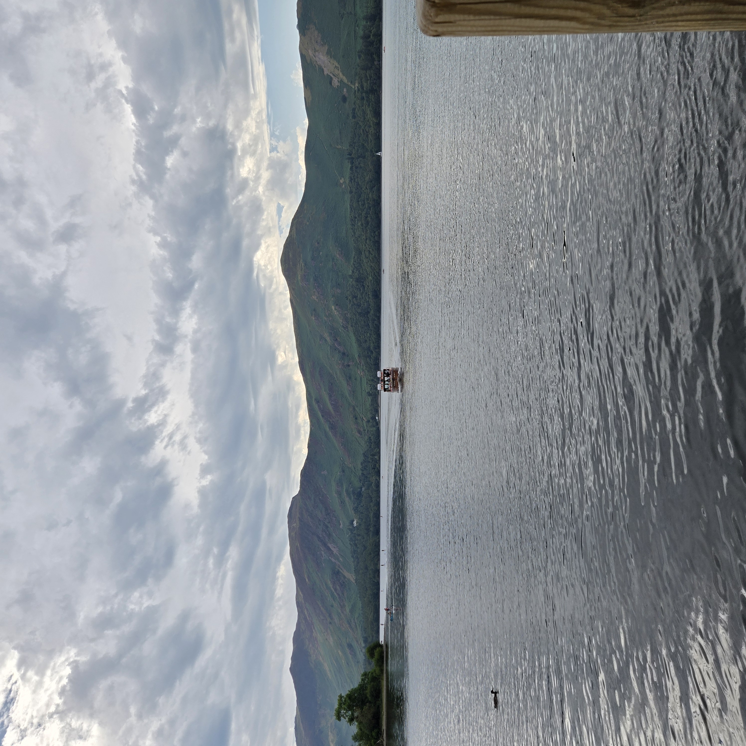 20260813_160656.jpg