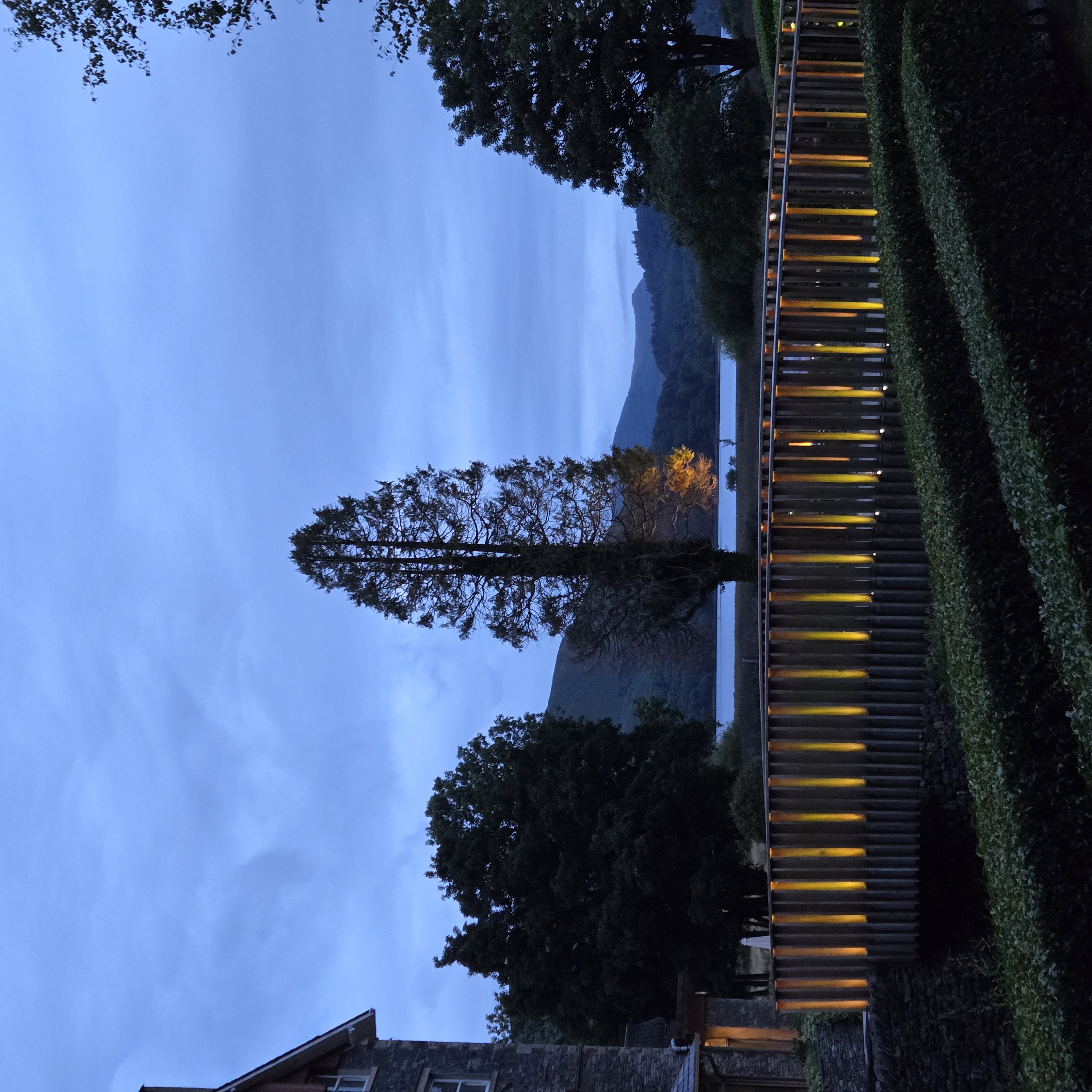 20260816_055448.jpg